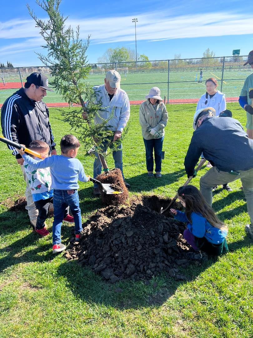 "In delightful early-spring sunny weather on March 7, 2026 upwards of 65 people of all ages celebrated an annual Woodland Arbor Day tradition by planting 54 trees from a variety of species at the Woodland Community Center, along Sports Park Drive, and at nearby Bopama Park. The planting was sponsored by the City of Woodland Urban Forestry Division and the Woodland Tree Foundation. Local volunteers included young families, high school students, UCD students, as well as Woodland Sunrise Rotary, California Department of Forestry, and West Coast Arborists." Thanks to all for volunteering!